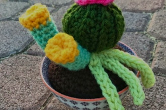 Golden Crafternoons: Crochet Succulent Gardens