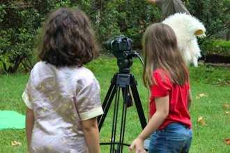 Stories on Film (Ages 7 - 12)
