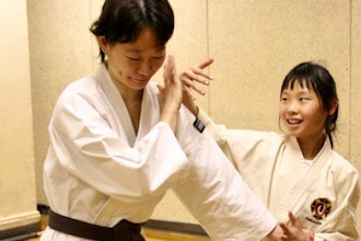 Shorinji Kempo for Kids (Ages 10-13)