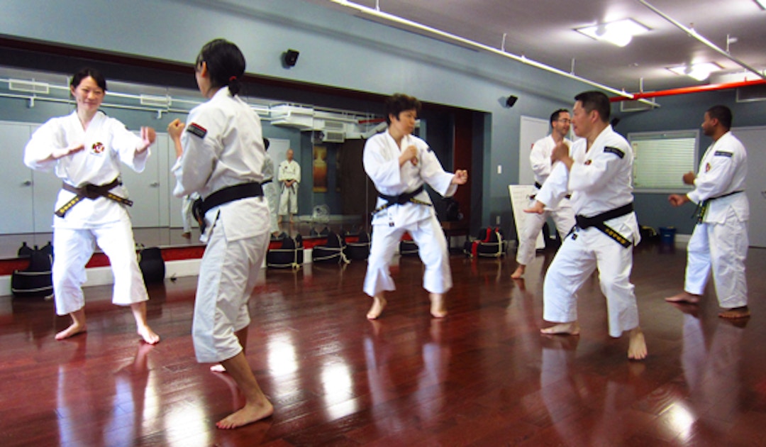 Shorinji Kempo for Students (under 21 years old) - Self 