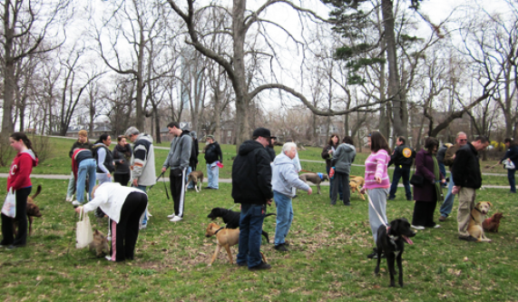 Doggie Boot Camp Dog Training Classes New York Coursehorse Ruff Love Dog Training