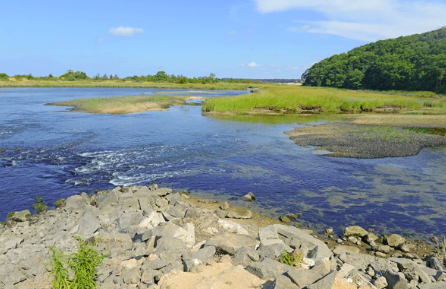 Sunken Meadow State Park  (Teens/Adults)
