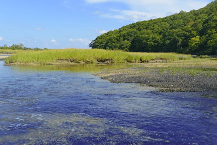 Sunken Meadow State Park  (Teens/Adults)