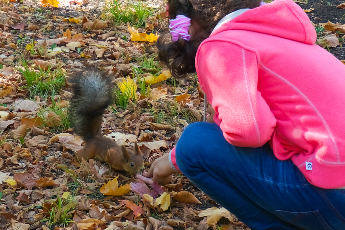 Central Park (Kids 12 & Under)