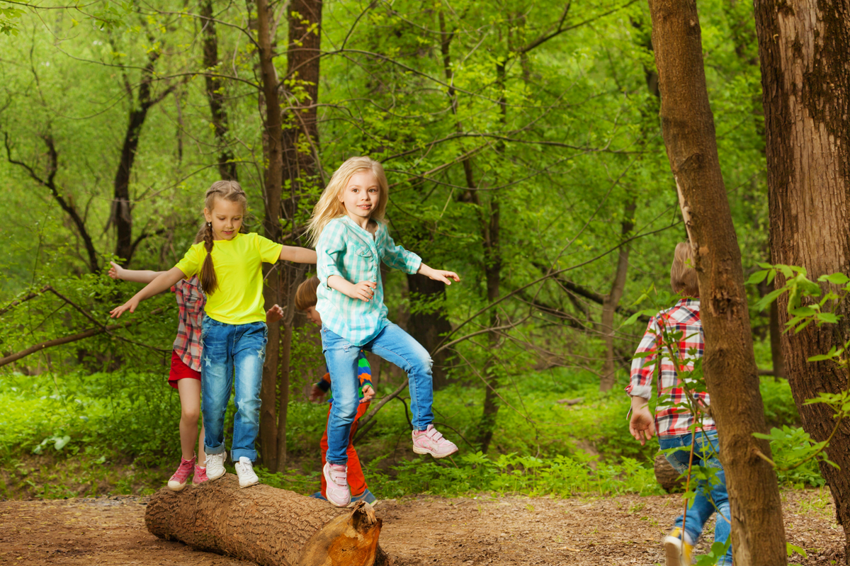 Forest Park (Kids 12 & Under)