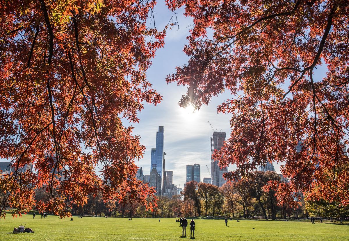 Central Park (Teens/Adults)