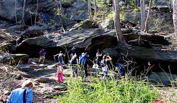 Prospect Park Group Foraging Tour