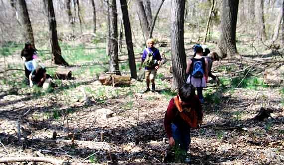 Stream in the Rambles of Central Park - Tour Classes New 