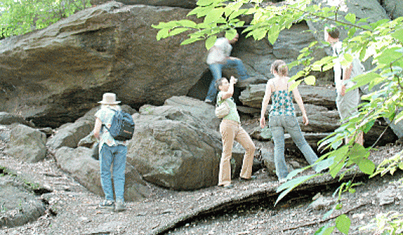 Central Park Group Foraging Tour