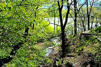 Forest Park Trail