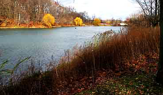 Oakland Lake in Alley Pond Park