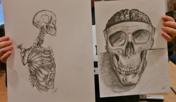Human Anatomy