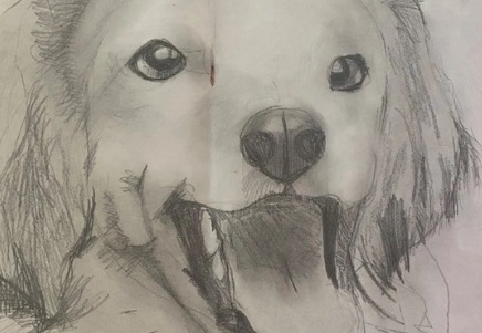 Kids Animal Drawing (Ages 5-8)