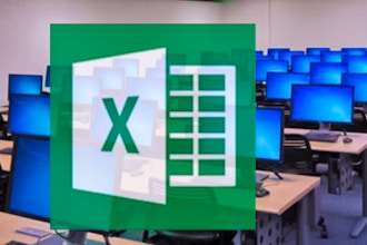 Microsoft Excel 2016: Macros and VBA Programming