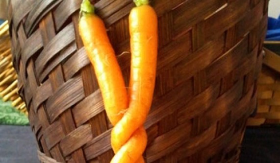Pickled Carrot Party : BYOB
