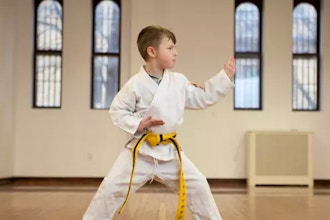Karate Youth (9-12yrs old)