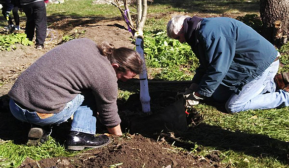 Bioregional Herbalism Course