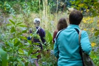 Let’s Walk + Learn Herbalism: Wildflowers