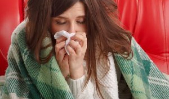 Let’s Make Herbal Immune Boosters