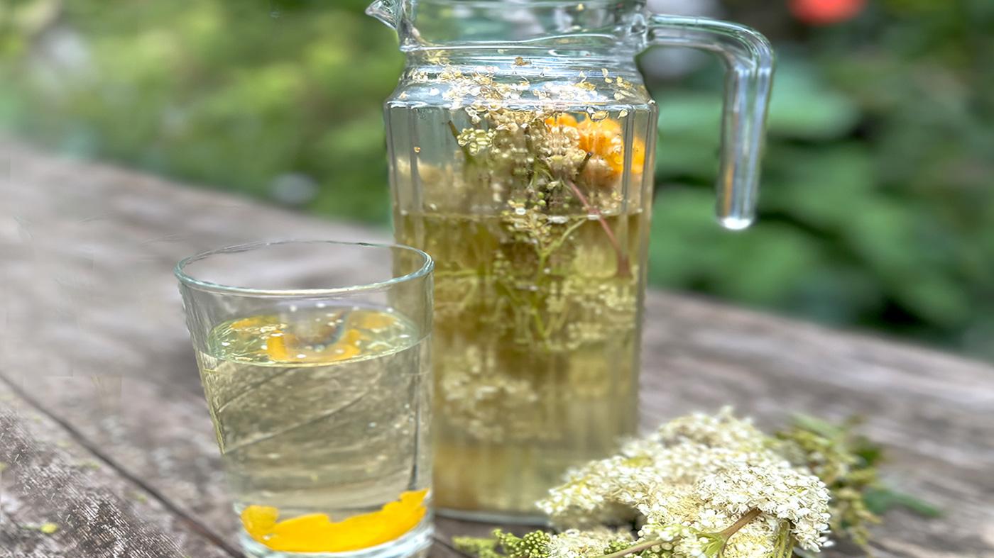Bitter Botanicals and Gut Health: Online