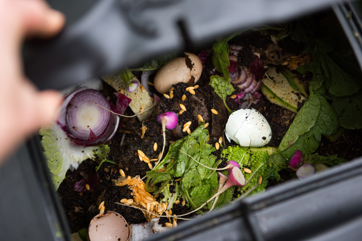 Composting 101