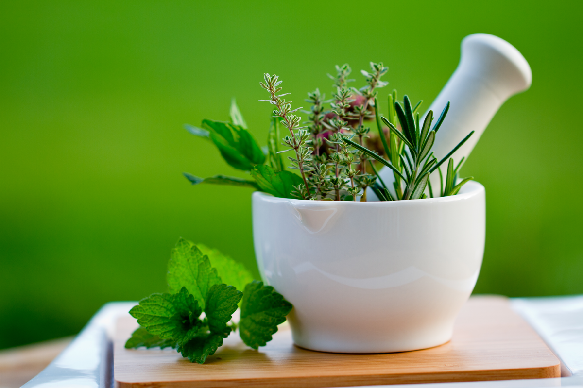 Wise Use of Medicinal Herbs