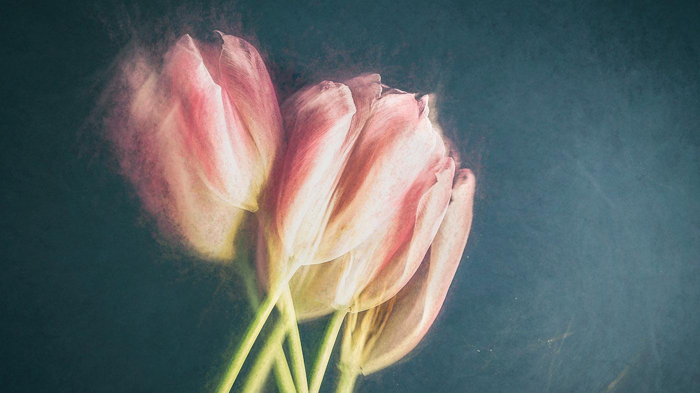 Expressive Color in Pastel: Online