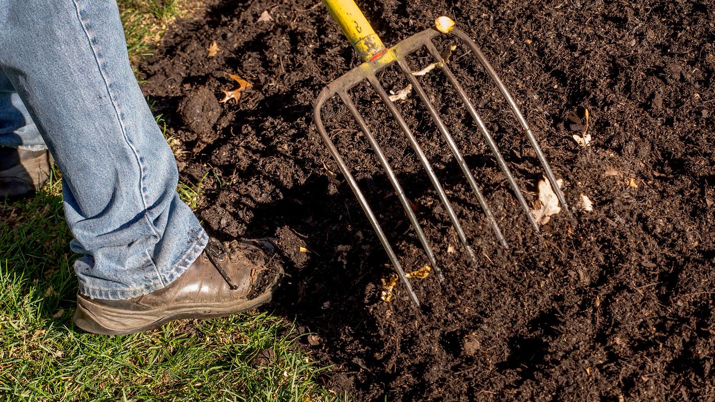 Fall Garden Care