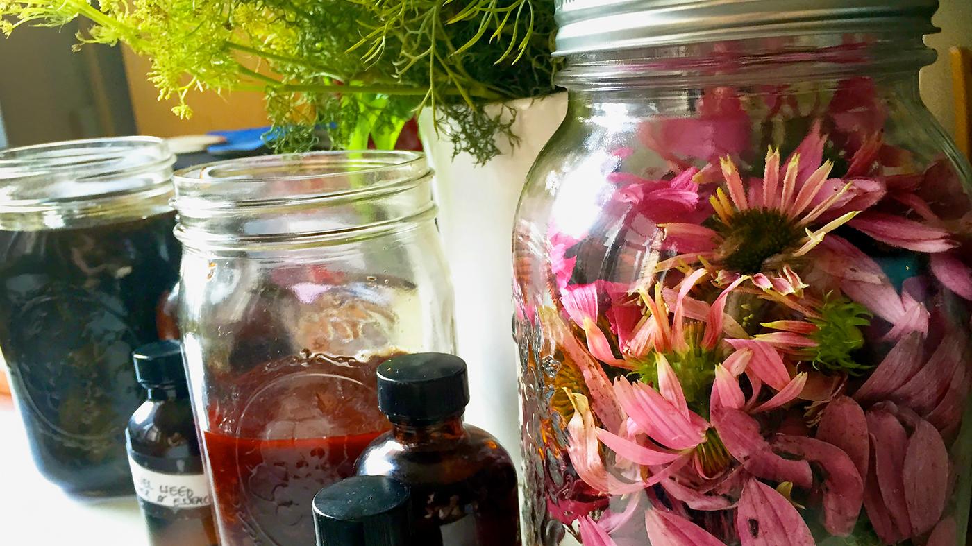 Herbs for Fall Immune Health