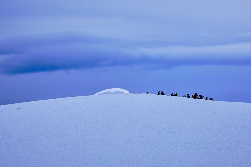 Poetic Landscape Photography