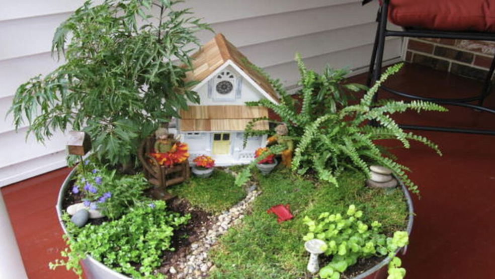 Fairy Garden Terrarium Workshop