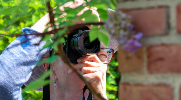 Photography: Nature's Shades of Green