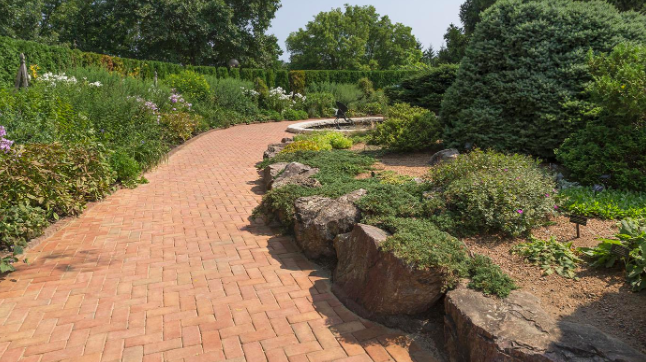 Hardscape Basics