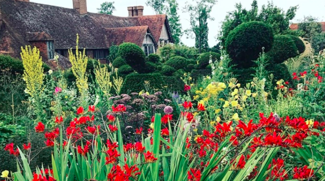 Annuals and Biennials