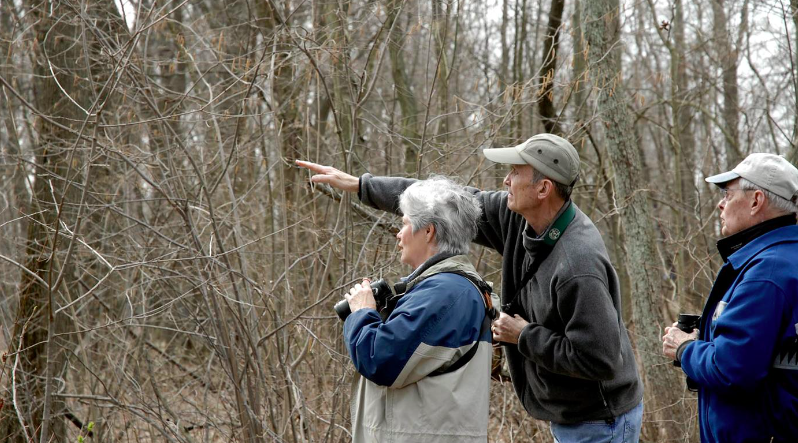 Bird Walk: Barbara Brown Nature Reserve
