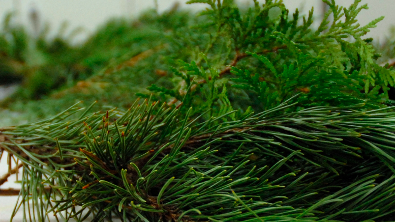 Holiday Greens Wreath