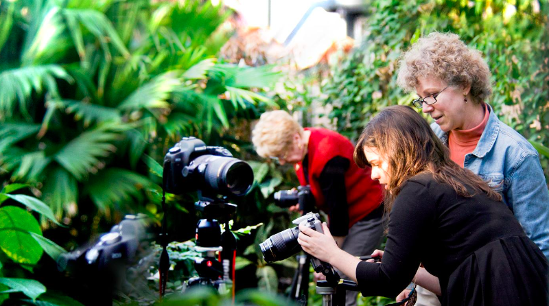 Unleash Your Creativity in Photography