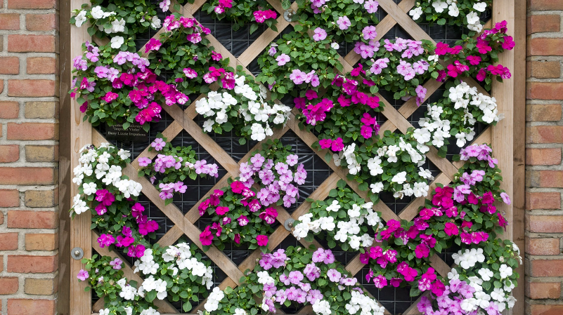 Vertical Gardening
