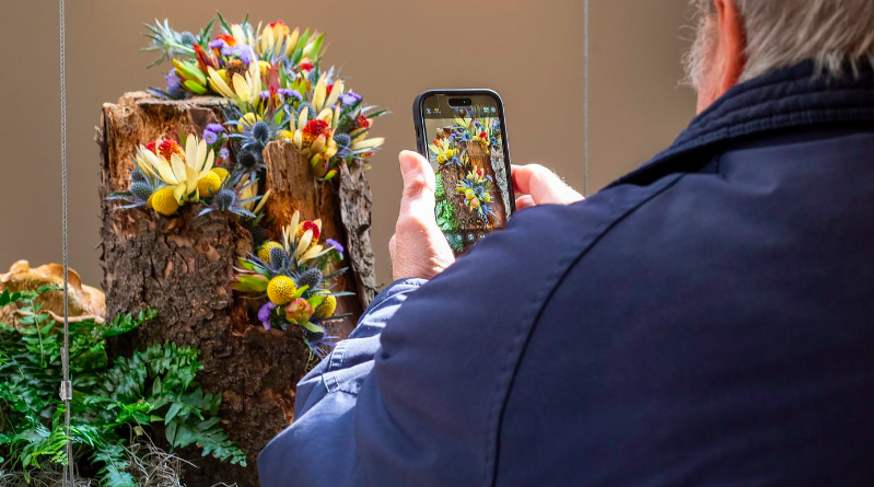 iPhone Photography: Advanced Features
