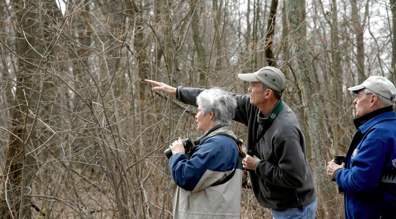 Birding the Barbara Brown Nature Preserve
