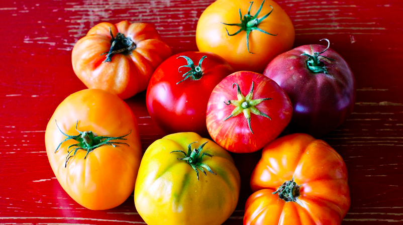 Tasty Tomatoes