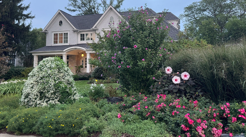 The Power of Color in Landscape Design