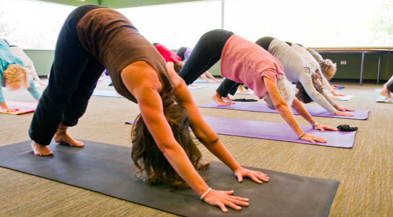 Mindful Movement