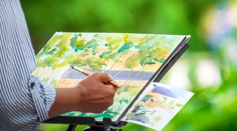 Garden Sketch and Paint