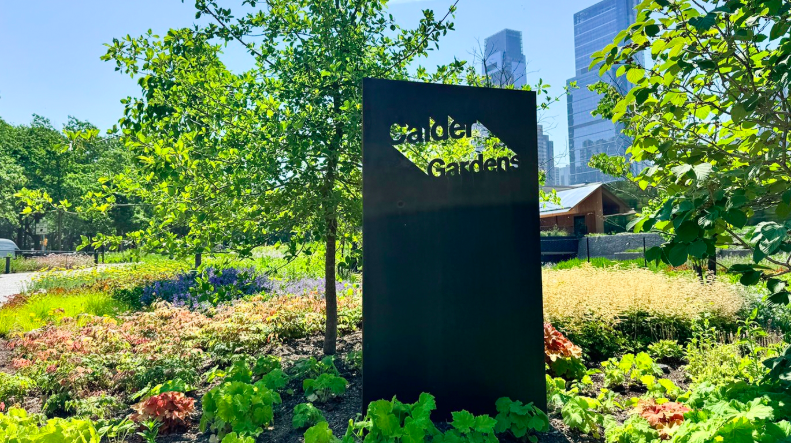 Exploring Calder Gardens in Philadelphia