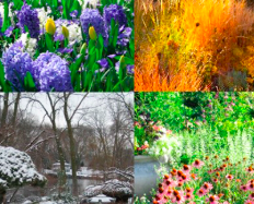 Designing the Four Seasons Garden