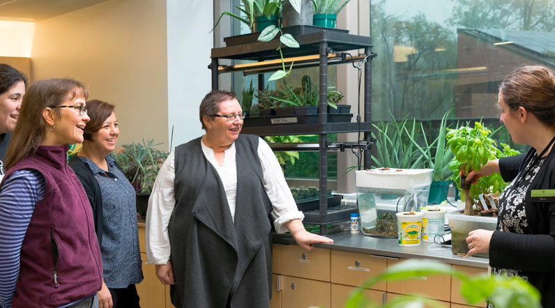 Classroom Gardening and Engineering