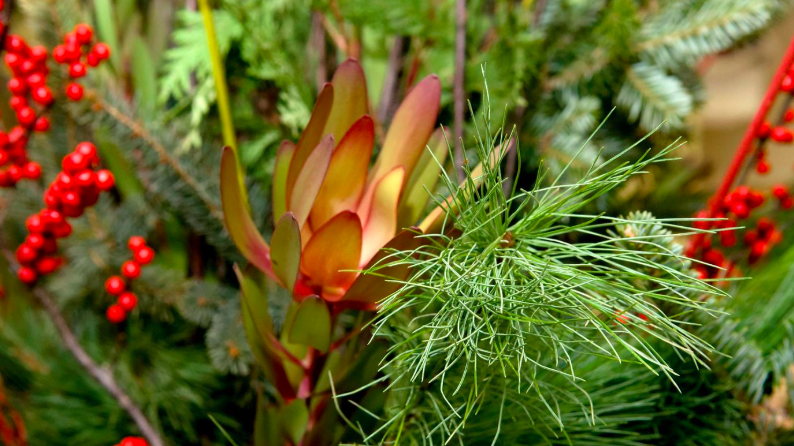 Holiday Centerpiece Garden Workshop