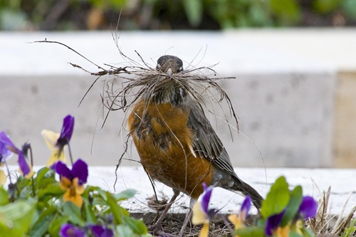 Spring Clean-up: A Bug-eyed View