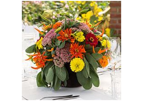 WCH: Cut Flower and Flower Arranging